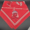 1949 Bandana